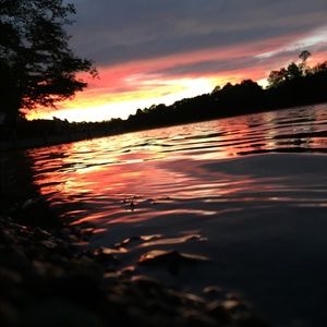 Meet your Posher, Alison